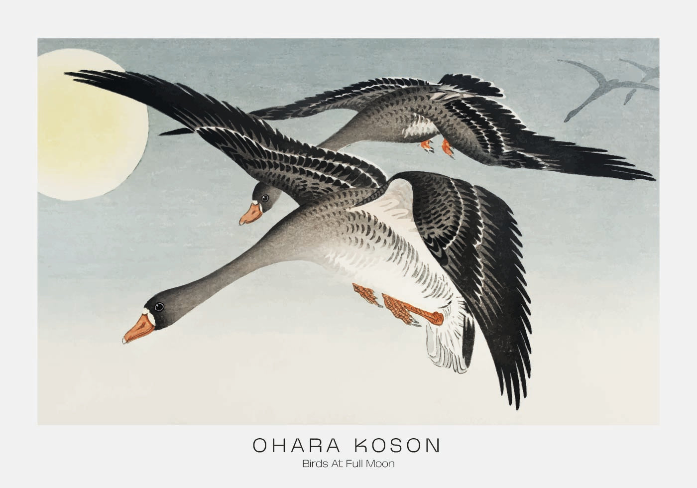 Birds At Full Moon By Ohara Koson Poster - Posterbox.dk