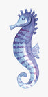 Blue Seahorse Poster - Posterbox.dk