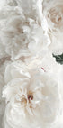 Bouquet Of White Peonies Poster - Posterbox.dk
