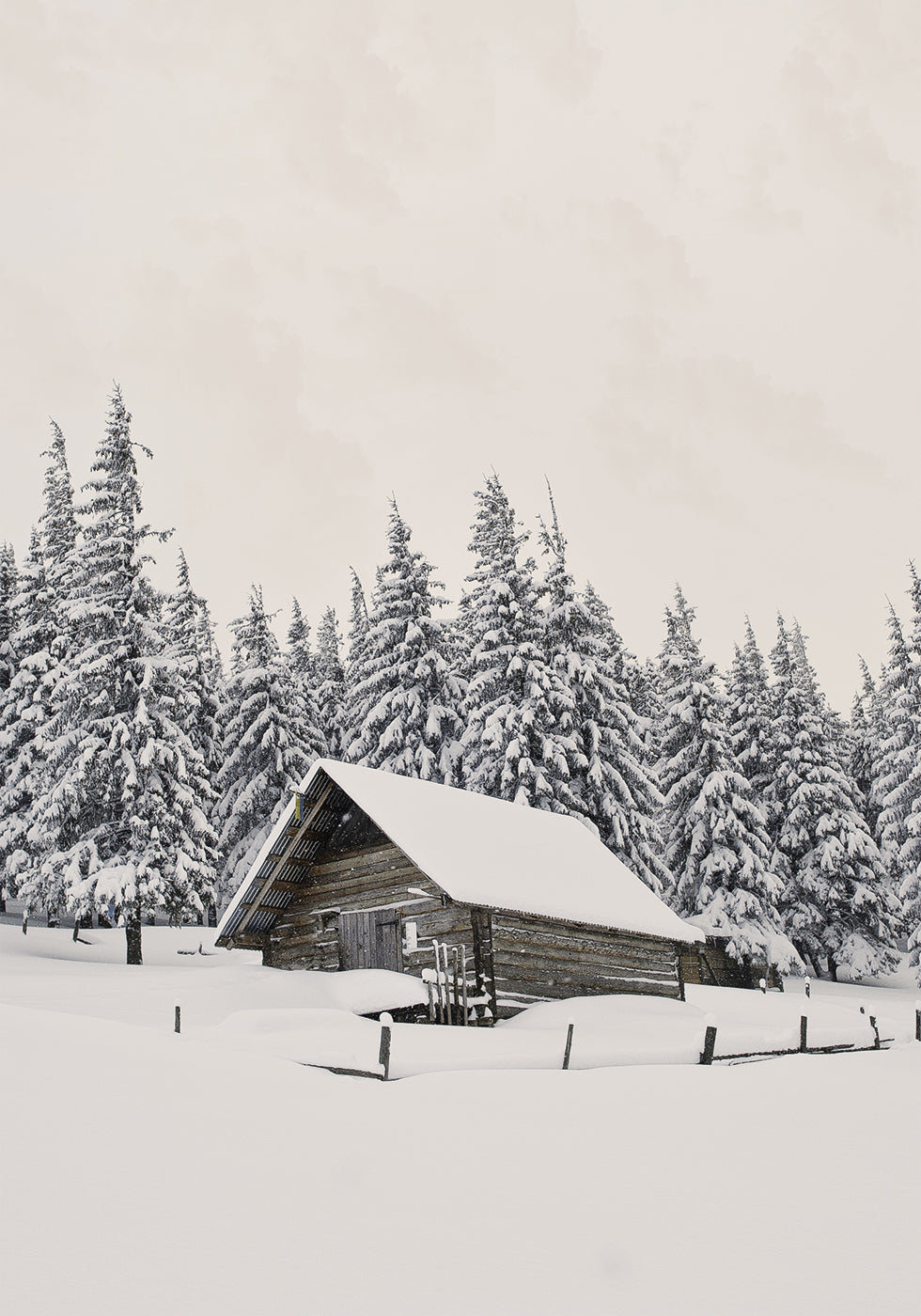Cabin In Snow Poster - Posterbox.dk