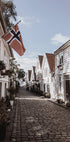 Cozy Street in Norway Poster - Posterbox.dk