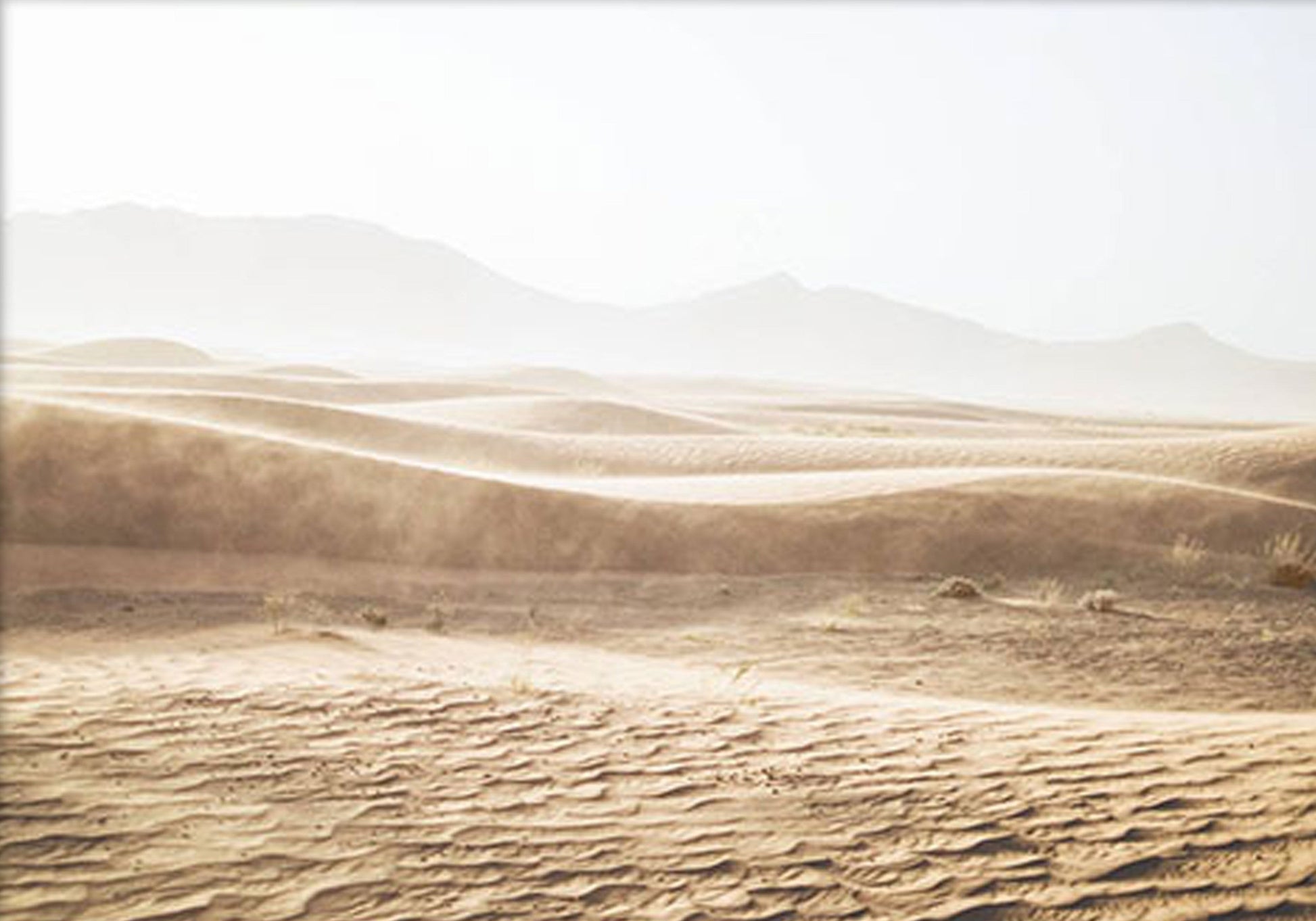 Desert Poster - Posterbox.no