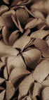 Dried Hydrangea Poster - Posterbox.dk
