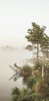 Foggy Summer Morning Poster - Posterbox.dk