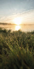Dewy Dawn by the Lake Poster - Posterbox.dk