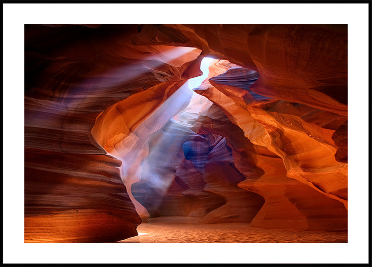 Pure Photodelight 2 Poster