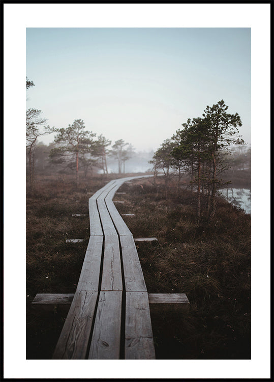 Riga Swamp Poster - Posterbox.dk