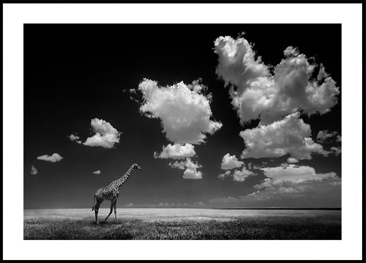 Gone with the Clouds