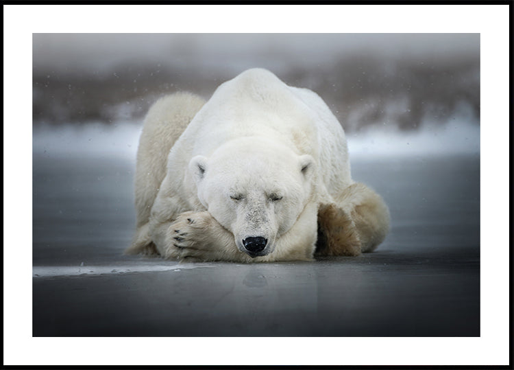 Dreaming alone Poster