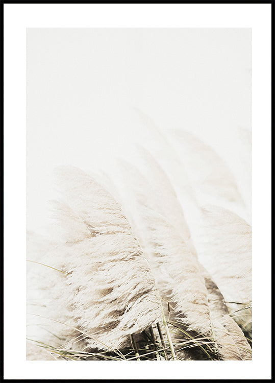 Reed In Wind Poster - Posterbox.dk