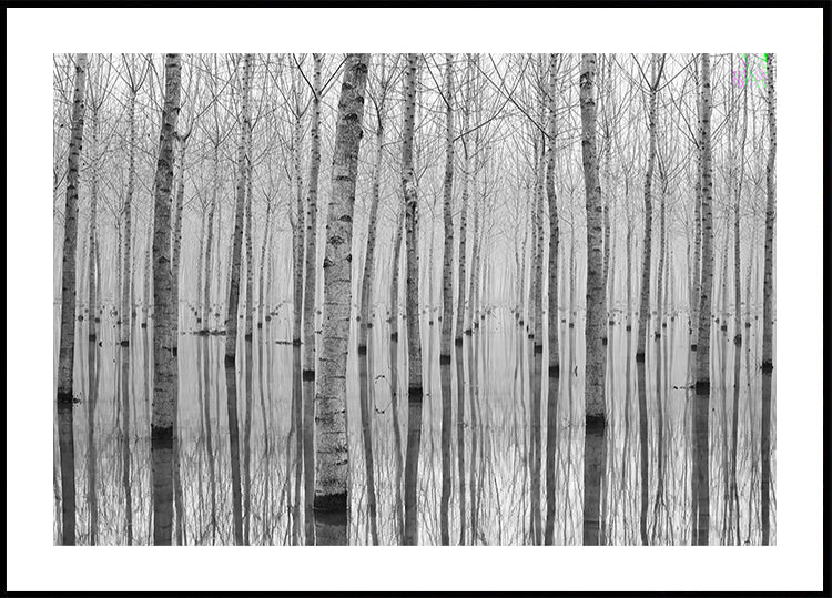 Novembre 2014 Poster Poster Poster Poster Poster