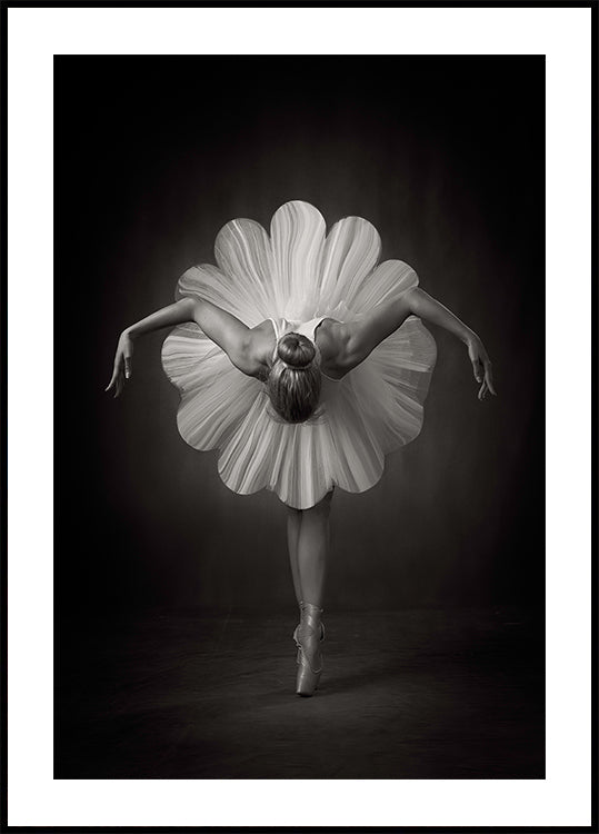 Floral Ballet Poster