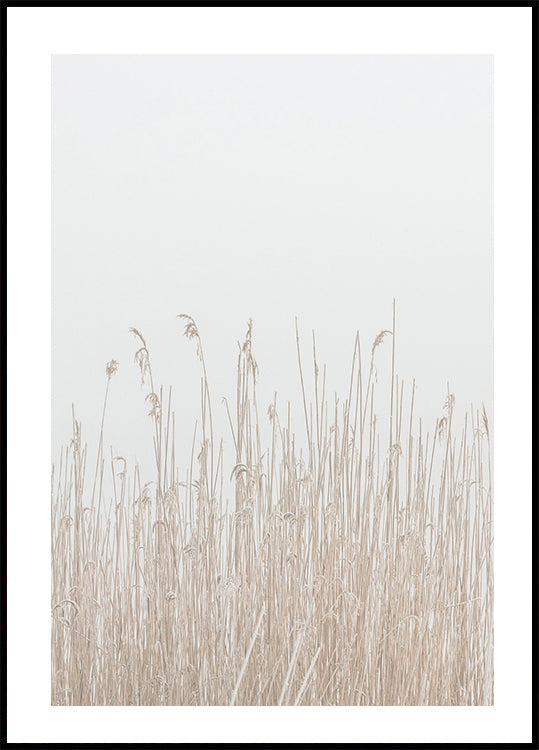 Grass In Fog Poster - Posterbox.dk