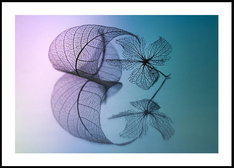 Story of leaf and flower Poster