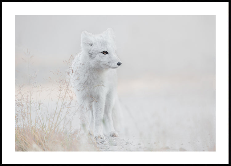 Looking around Poster