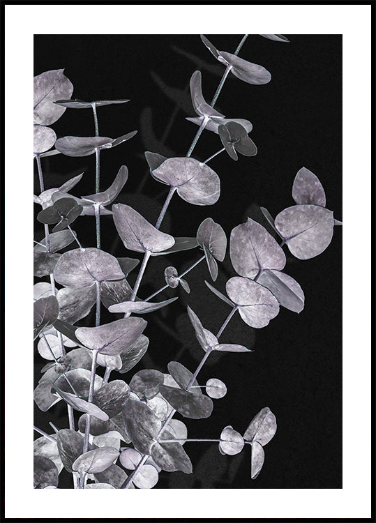 Eucalyptus Negative No.3 Poster