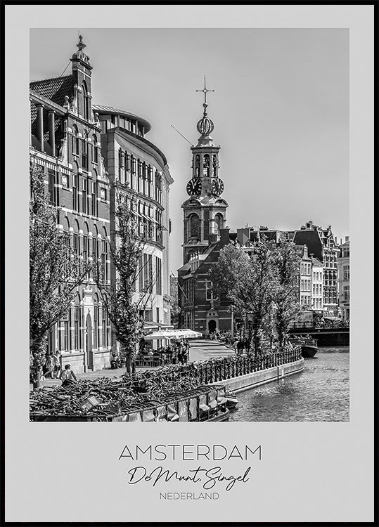 In focus: AMSTERDAM De Munt Poster