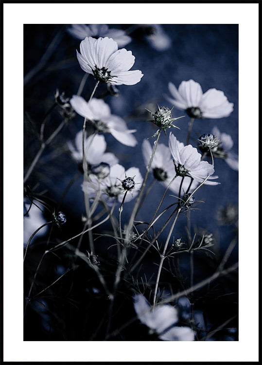 Wild Flowers 10