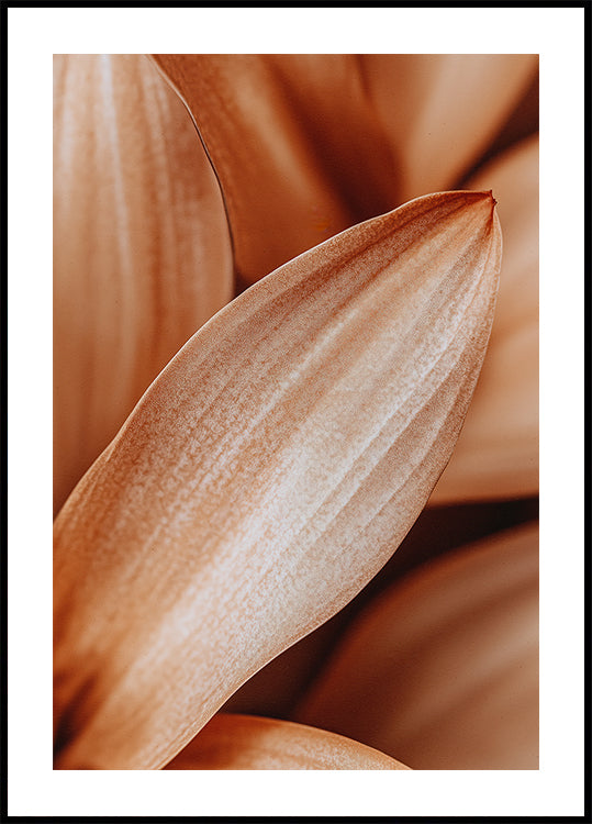 Amber Petal Elegance