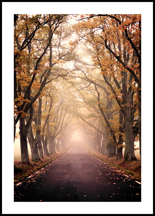 Autumn Avenue Poster