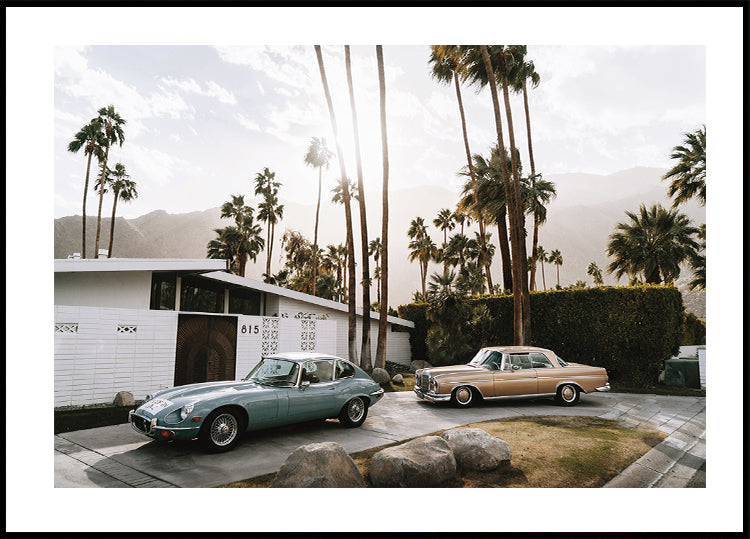 Retro Cars in Palm Springs Poster - Posterbox.dk