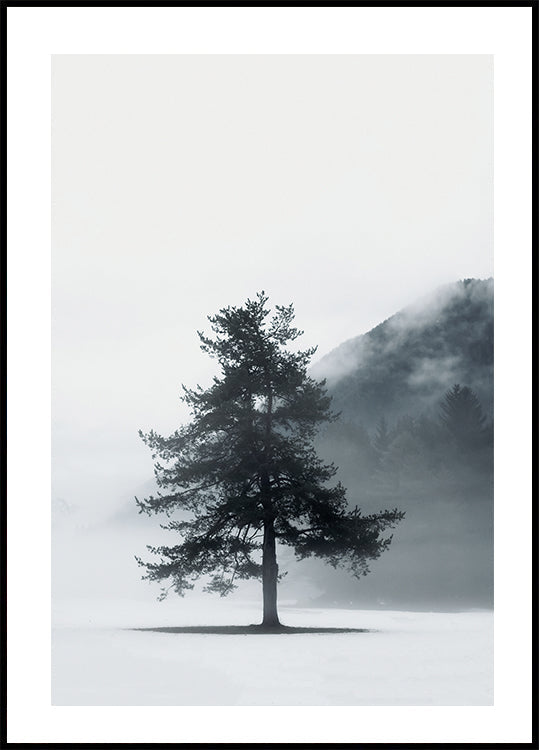 Lone Pine Tree in Foggy Field Poster - Posterbox.dk