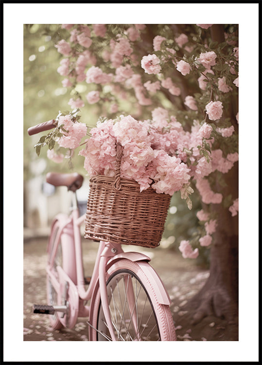 Pink Bicycle and Blossoms Poster - Posterbox.dk