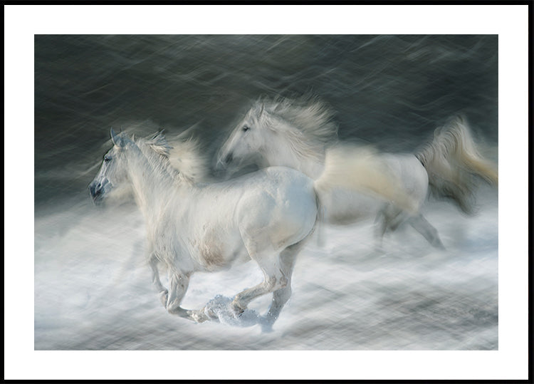 gallop in a duel Poster