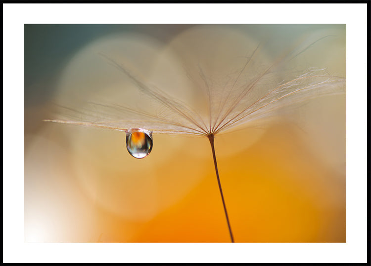 Little Night Music...