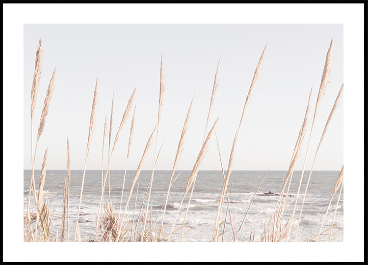 Beach_Vass_002 Poster