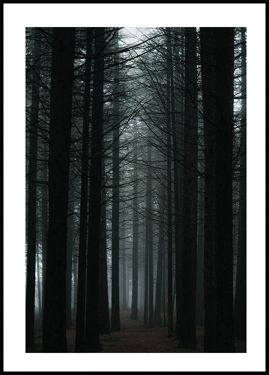 Dark Forest Poster - Posterbox.dk