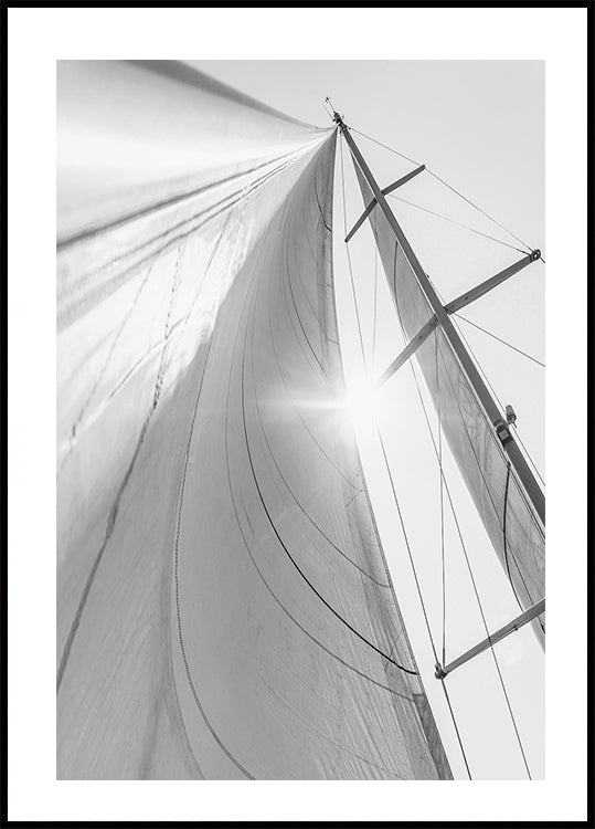 Sail In Sunlight Poster - Posterbox.dk