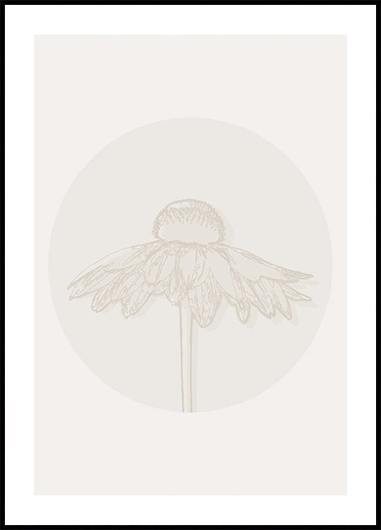 Gaillardia Bloom, Botanical Line Art Poster