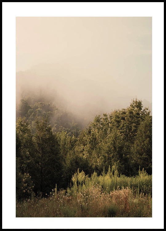 Foggy Forest Poster - Posterbox.dk