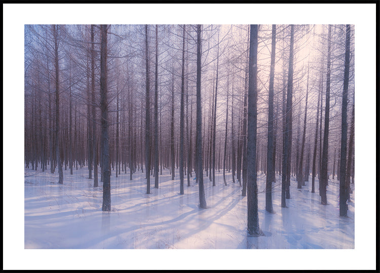 Silent Winter Symphony Poster