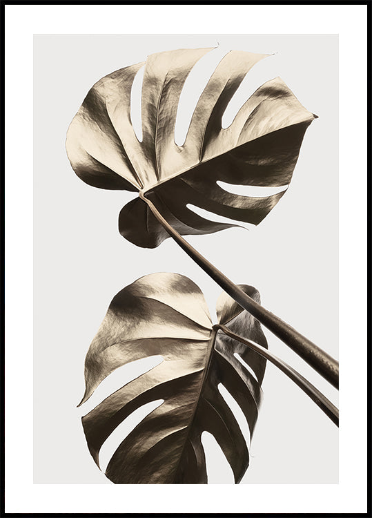 Monstera Gold 08 Poster
