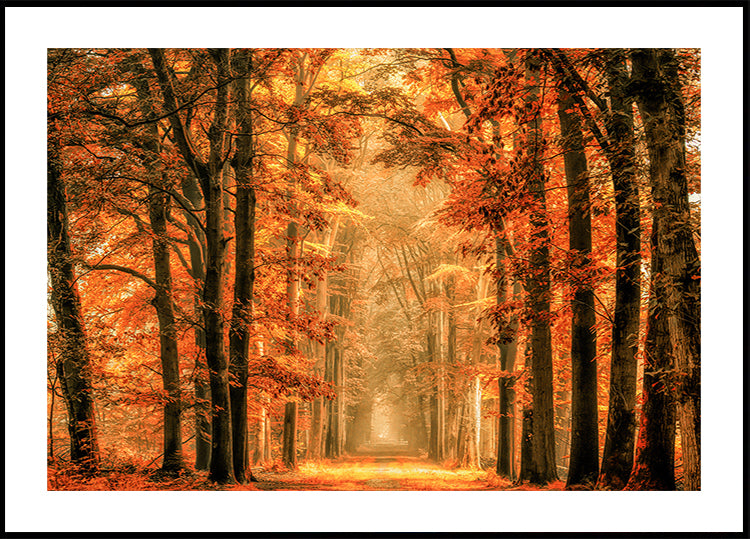 Exit the Portal Poster