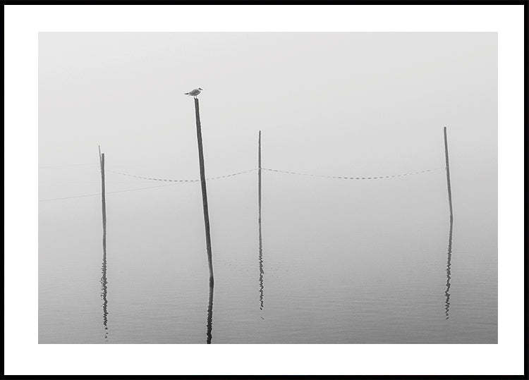 Misty Reflections in Black and White Poster - Posterbox.dk