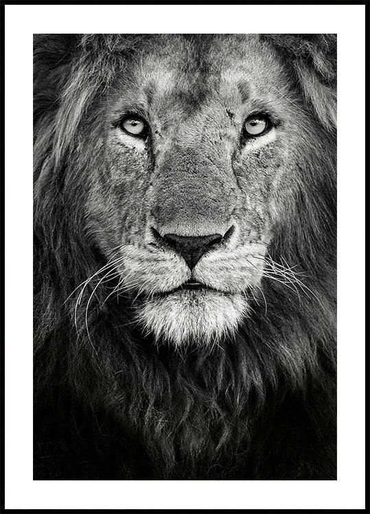 Royal portrait Poster