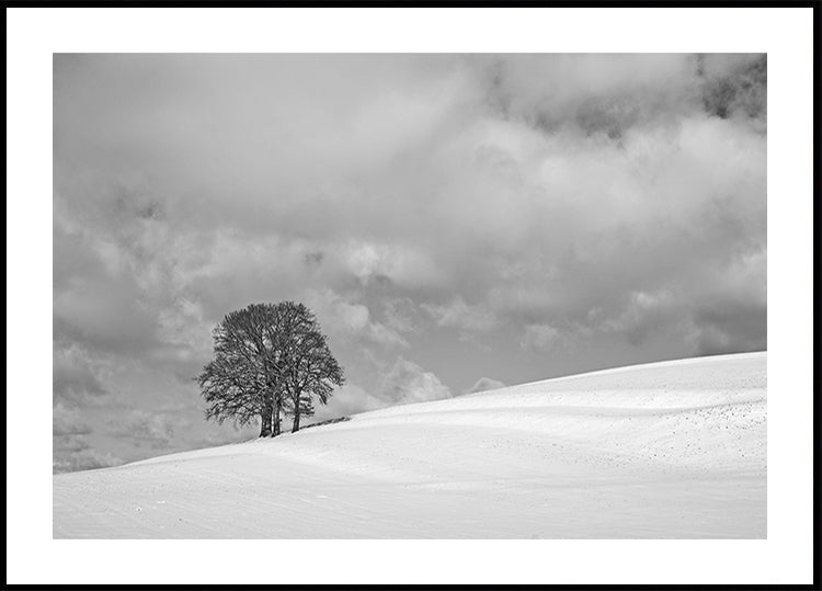 A cloudy winter day Poster