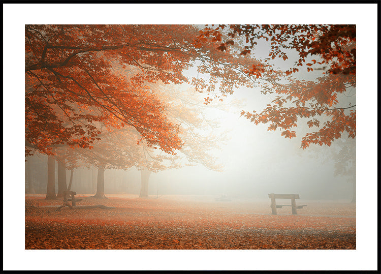 The wonders of nature Poster