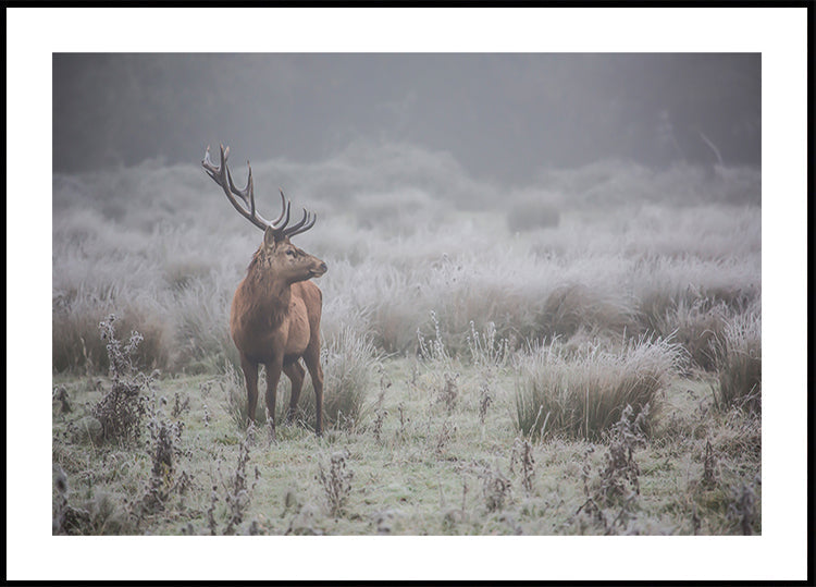 Prideful. deer. Poster