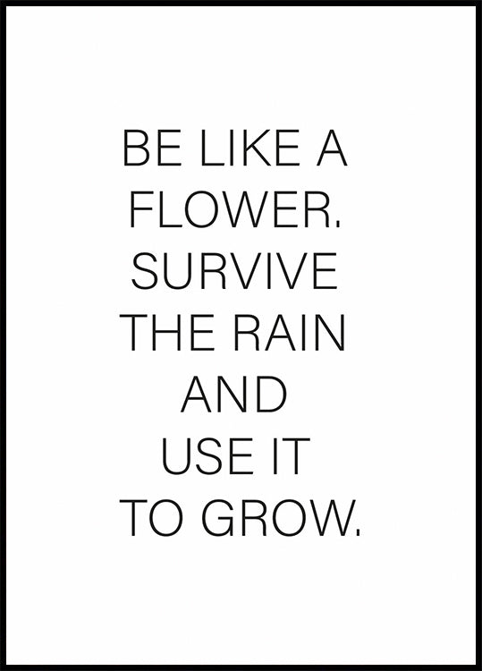 Like a Flower Poster - Posterbox.no