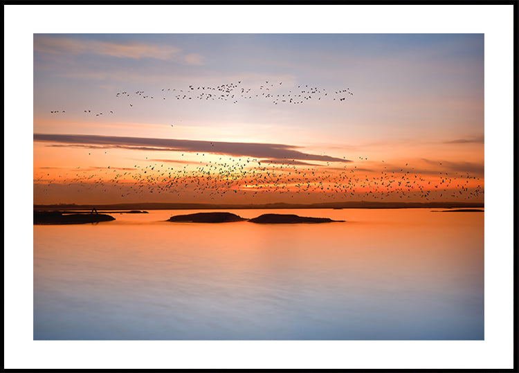 city ​​sunset Poster