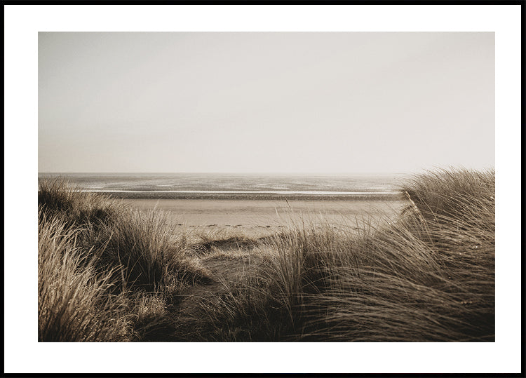 View Of The Beach From Behind The Grass Poster - Posterbox.dk