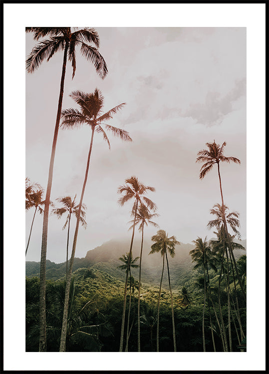 Palms and Mountain Poster - Posterbox.dk