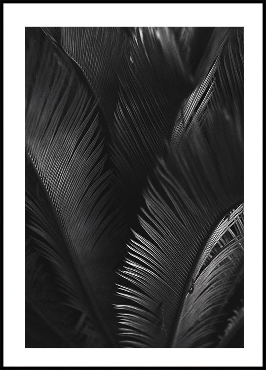 Palm Leaves Poster - Posterbox.dk
