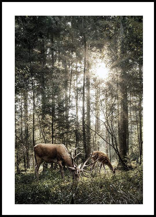 Deer In Forest Poster - Posterbox.dk