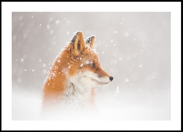 Snow is falling… Poster