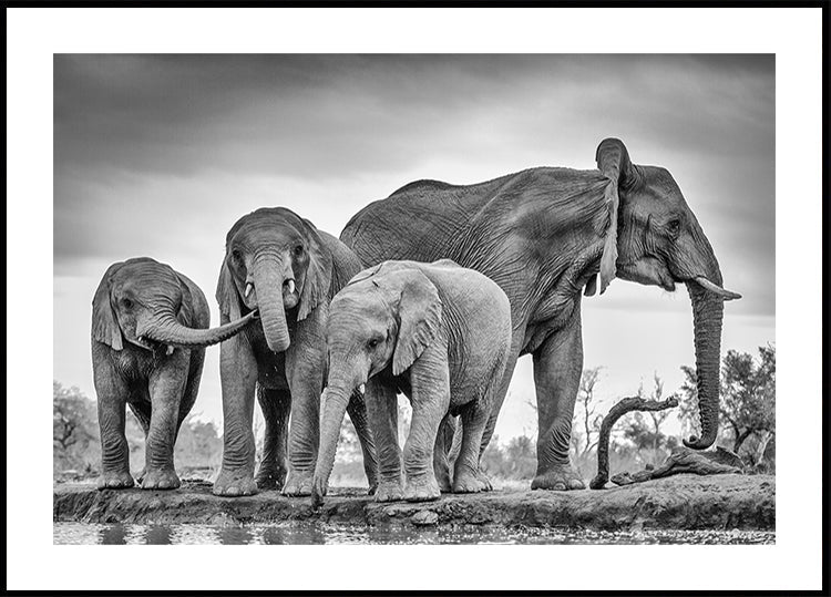 A Giant Unity Poster